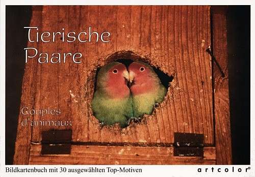 Postkartenbuch Tierische Paare