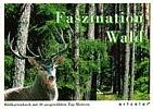 Faszination Wald